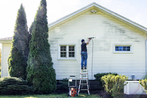 Professional Pressure Washing in West Miami, FL